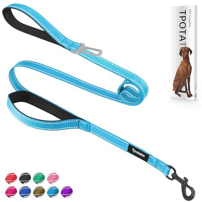 6 Foot Blue Dog Leashes for Large Medium and Small Breed Dogs That Pull,Reflective Nylon Heavy Duty Dog Leash with 2 Comfortable Padded Traffic Handles and Car Seat Belt for Walking and Training - color: Sky blue