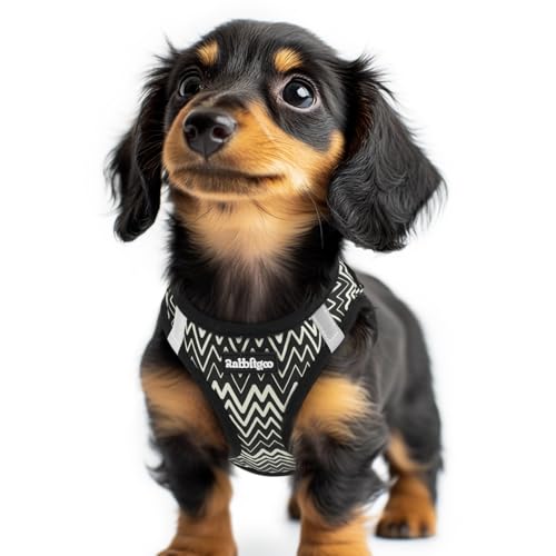 rabbitgoo Small Dog Harness, Step-in Soft Mesh Puppy Vest with Safety Buckle, Breathable Reflective Pet Harness for Small Sized Dogs, Black Zigzag XXS - color: Black Zigzag, size: Xxs(chest:12.4"-14.2")
