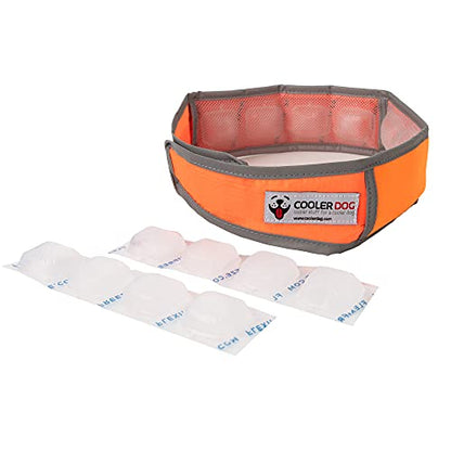 CoolerDog Hi-Vis Cooling Dog Collar for X-Large Dogs – Reflective Re-Freezable Ice Collar for Hot Weather & Heat Relief (Orange, X-Large) - size: X-Large