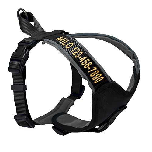 Pawtitas Reflective Padded Dog Harness for Small Dogs – Adjustable Puppy Step-in Vest | Fits Chest 18–22 in | No Pull Personalized Training Harness | S | Black - color: Black, size: Personalized Small (Pack of 1)