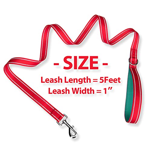 PHOEPET 5 Feet Dog Leash - Dual-Side Reflective - Soft Padded Handle - Fit for Walking, Training or Exploring Hiking, Camping(Red + Dark Green Base) - color: Red + Dark Green Base