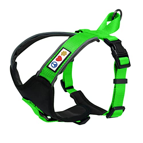Pawtitas Reflective Padded Dog Harness for X-Small Dogs – Adjustable Puppy Step-in Vest | Fits Chest 14–18 in | No Pull Training Harness | XS | Green - color: Green, size: X-Small (Pack of 1)