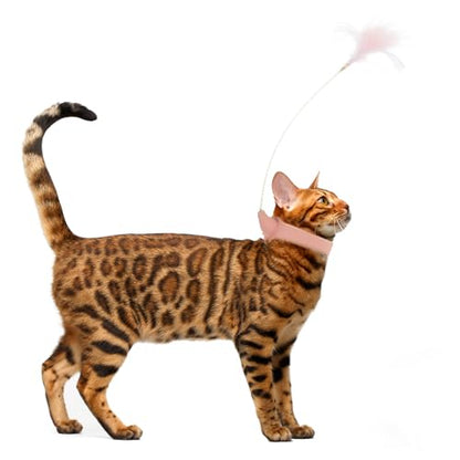 Toddmomy Interactive Cat Teaser Feather Wand with Bell, Sturdy Spring Rod for Indoor Play, Pink Kitten for Cat Exercise and Mental Stimulation