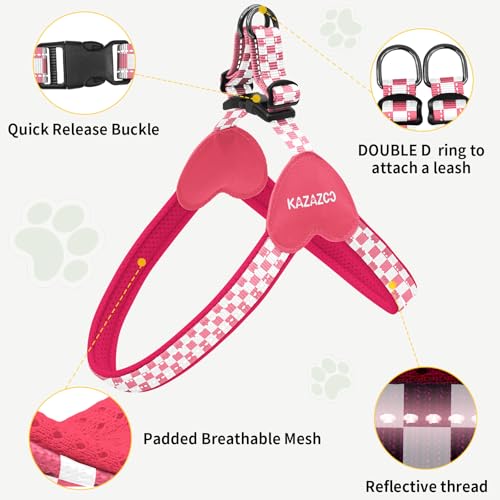 Kazazoo No Pull Small Dog Harness and Leash Set, Adjustable Puppy Soft Vest Harness with Breathable Mesh Padded, Reflective Lightweight Harness with Buckle for Small Medium Dogs, Pink Plaid M - color: Pink Plaid, size: M