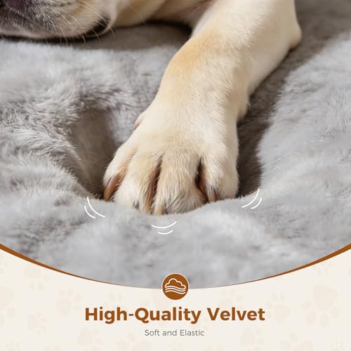Outdoor Elevated Dog Beds for Small Dogs, Portable Indoor & Outdoor Cooling Raised Cot Pet Hammock Bed with Skid-Resistant Feet, Frame with Breathable Mesh - size: 31.7"L x 26.4"W x 8.7"Th