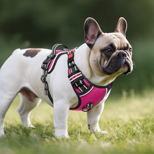 No Pull Dog Harness, No Choke Front Lead Dog Reflective Harness, Adjustable Soft Padded Pet Vest with Easy Control Handle for Small Medium Large Dogs, S - color: Lock-Rosy, size: Small (Pack of 1)