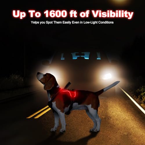 Lighted Dog Harness - No Pull, Glowing LED Harness with Handle, Adjustable for Small to Large Dogs - color: Red, size: S