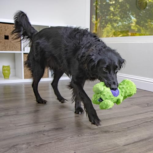 goDog Dinos T-Rex Squeaky Plush Dog Toy with Chew Guard Technology, Durable Fabric & Squeaker for Active Play, Green, Large - color: Dinos T-Rex (Green), size: Large