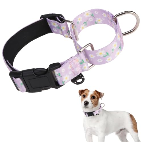KOOLTAIL Martingale Collar for Dogs for Small Medium Large Dogs, Soft Padded Nylon No Pull Dog Collar with Buckle, Adjustable No Slip Heavy Duty Durable Puppy Training Collar for Boys Girls, Purple M - color: Purple, size: Medium