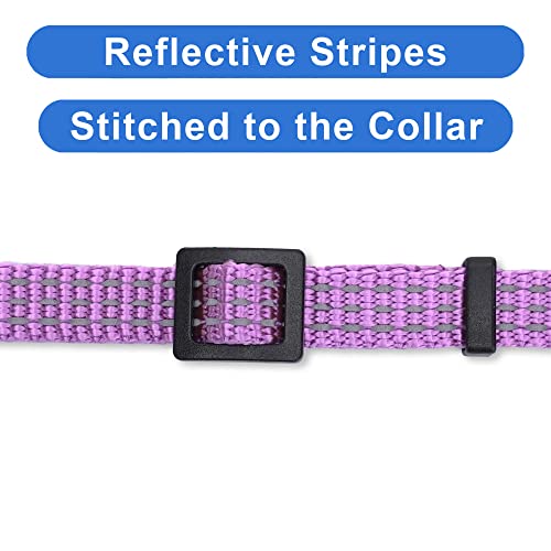 Pawtitas Reflective Purple Cat Collar with Safety Buckle and Removable Bell for Kitten and Cats Orchid - color: Reflective Orchid