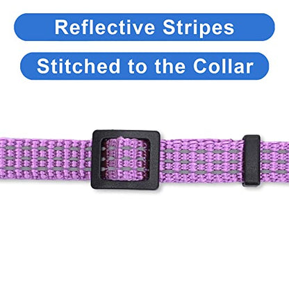 Pawtitas Reflective Purple Cat Collar with Safety Buckle and Removable Bell for Kitten and Cats Orchid - color: Reflective Orchid