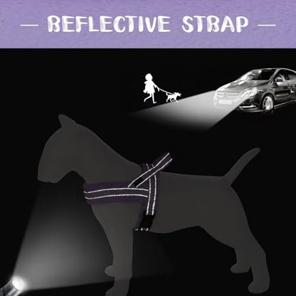 Didog No Pull Dog Harness with Soft Padded, Easy Walk Dog Harness with Quick Release Buckle, Adjustable & Reflective Pet Harness with Soft Padded for Small Medium Dogs (S:Chest 19-22", Purple) - color: Purple, size: S:Chest 19-22", Fit 15-25 lbs