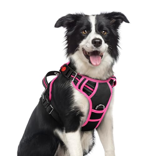 rabbitgoo Dog Harness Medium Sized, No Pull Dog Vest with 3 Buckles, Adjustable Soft Padded Pet Harness with Easy Control Handle and Reflective Strips, Black & Rose Pink, M - color: Black & Rose Pink, size: Medium