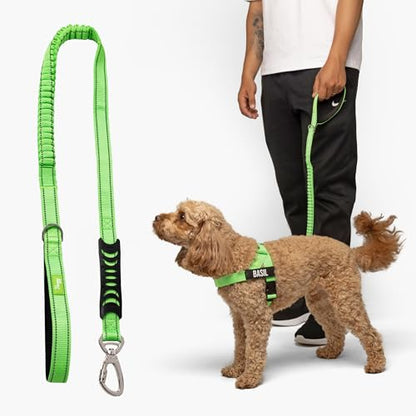 Dog Friendly Co. Bungee Dog Leash | Strain Free & Shock Resistant for Control | Neoprene Padded Handle, Heavy-Duty Carabiner Clip, and D-Ring | Neon Green, Size Regular - color: Neon Green, size: Regular