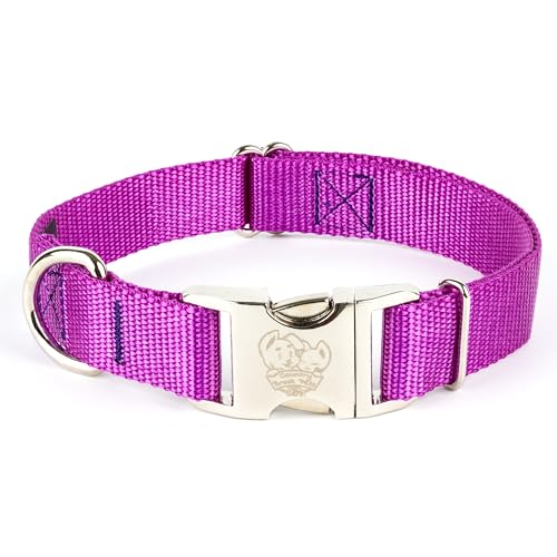 Country Brook Petz - Premium Nylon Dog Collar with Metal Buckle for Small Medium Large Breeds - 10+ Cool Colors (Small, 3/4 Inch, Bright Purple) - color: Bright Purple, size: Small (Pack of 1)