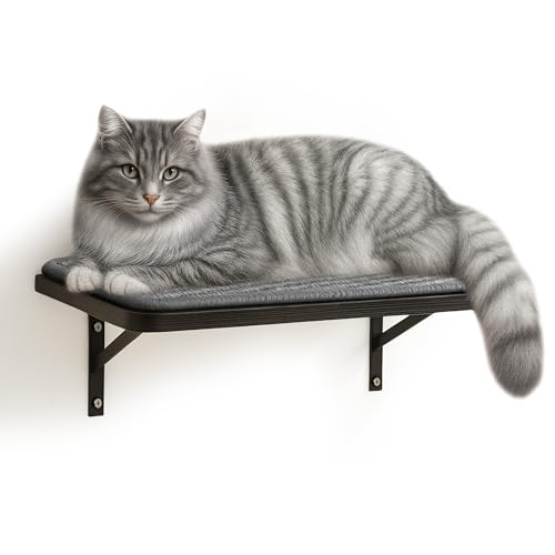 Cat Wall Shelf Window Perch, Cats Bed Hammock with Scratching Pad, Cat Shelf for Climbing Sleeping Playing,Black Furniture for Indoor Large Cats - color: Gray Shelf, size: Single Shelf (1 Piece)