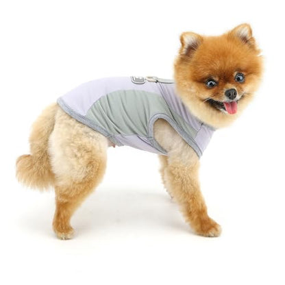 PAIDEFUL Summer Cooling Dog Shirt for Small Dogs Breathable Mesh Pet T-Shirts UV Sun Protection Puppy Vest Soft Lightweight Doggie Tank Top Fashion Chihuahua Tee Clothes Cat Apparel D-Ring,Purple,S - color: purple, size: M