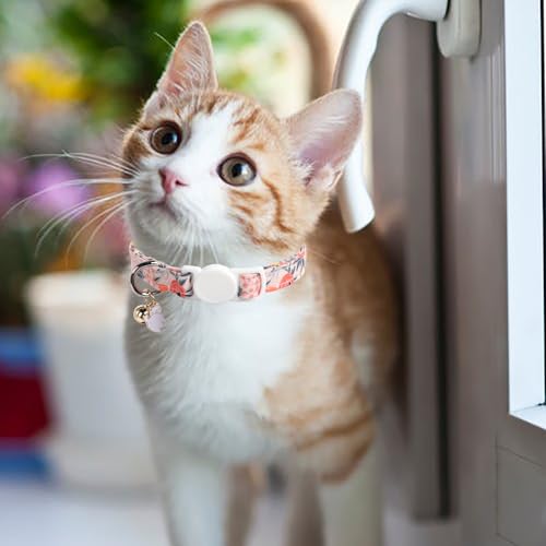 Unique style paws 2 Pack Kitten Collar Breakaway with Bell & Pendant, Adjustable Safety Cat Cotton Collars for Girl Boy Cats and Small Pets - color: blue & pink flower