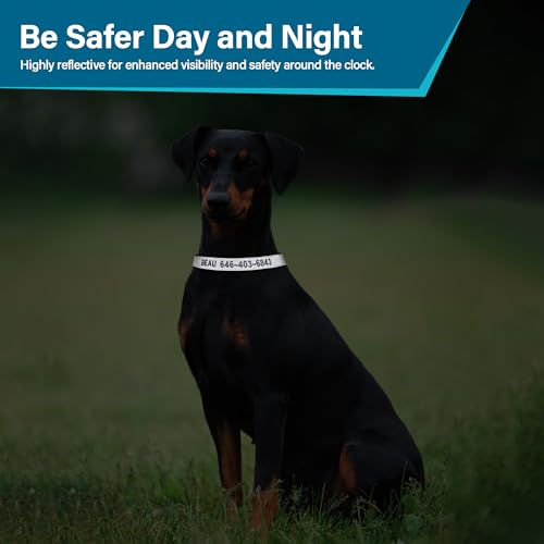 Reflective Personalized Dog Collar - Custom Embroidered Dog Collars with Pet Name and Phone Number for Boy and Girl Dogs, 4 Adjustable Sizes, XSmall,Small, Medium and Large (Metal Buckle) - color: Metal Buckle