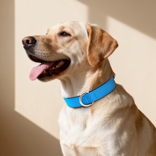 Didog Soft Padded Dog Collar for Large Dogs, Lightweight and Breathable Dog Collar with Metal Buckle, Blue, XL - color: Blue, size: XL: Fit 17-23" Neck