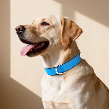 Didog Soft Padded Dog Collar for Large Dogs, Lightweight and Breathable Dog Collar with Metal Buckle, Blue, XL - color: Blue, size: XL: Fit 17-23" Neck