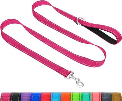 Taglory Dog Leash for Medium Large Dogs, Double-Sided Reflective for Night Walking, Neoprene Padded Handle, 1 inch by 5 ft, Heavy Duty for Medium Large Breeds 20-150 lbs, Hot Pink - color: Hot Pink, size: 1 in x 5 ft (Pack of 1)
