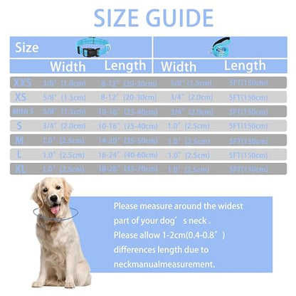 Reflective Dog Collar with Safety Locking Buckle, Adjustable Soft Breathable Nylon Collars for Small, Medium and Large Dogs(Collar+Leash XS Width 3/8" Sky Blue) - color: Sky Blue, size: XX-Small (Width 3/8")