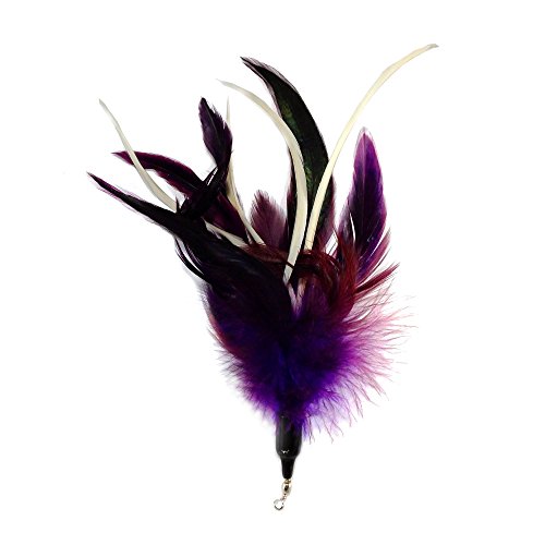 Pet Fit for Life Multi Piece Replacement Feathers Pack Plus Bonus Soft Furry Tail for Interactive Cat and Kitten Toy Wands… - style: 5 Feathers, 1 Tail