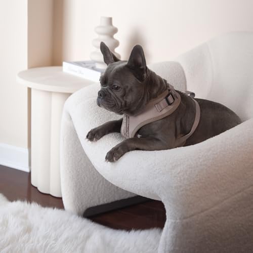 Premium No-Pull Dog Harness Soft Neoprene & Breathable Mesh Vest with Front & Back Clip D-Rings Adjustable Lightweight Walking Harness for Puppies, Small & Medium Dogs (Brown Taupe Snake, L) - color: Brown Taupe Snake, size: L: Neck=16.5-22''/Chest=22.4-3