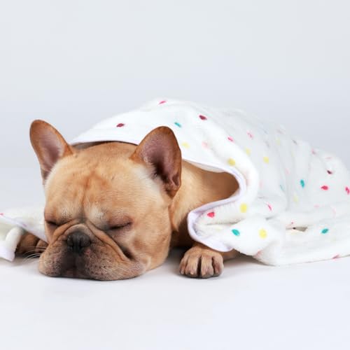 Luciphia 1 Pack 3 Blankets Super Soft Cute Dot Pattern Pet Blanket Flannel Throw for Dog Puppy Cat Medium(30x20), Brown - color: Brown2, size: 30x20 inch (Pack of 3)