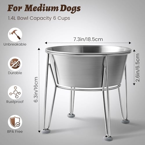 Elevated Dog Bowls for Medium&Small Dogs - Stainless Steel 48oz/6 Cups Raised Feeder with Non-Slip Base, Dual Food & Water Bowls 2-Pack - color: Raised Bowl, size: 6 Cups