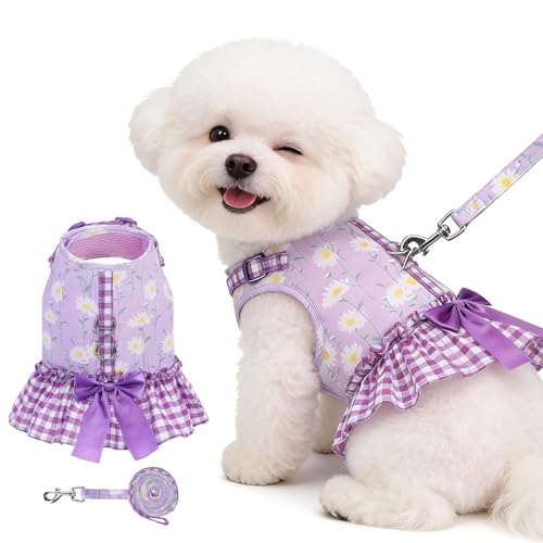 EXPAWLORER Dog Harness Small Medium Sized Dogs, Daisy Dog Dress Bowknot Harness and Leash Set, No Choke No Pull Soft Mesh Vest Cute Princess Puppy Outfits Clothes Costume for Girls Party Cats Purple S - color: Daisy Purple, size: Small(Chest Girth 12" - 1