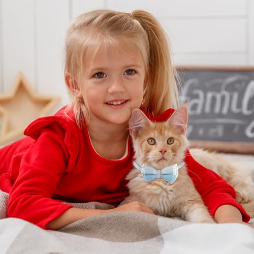 Jeffdad 2Pcs Cat Collar Breakaway, Cat Collar with Bells Bowtie Plaid Cat Collar Adjustable for Kitten Puppy and Small Pets (Blue and White Plaid) - color: Blue and white plaid