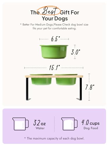 Elevated Dog Bowls, Raised Dog Bowl Stand with Two 6.5 inch Ceramic Bowl, Non-Slip Puppy Food and Water Bowls, Dogs Feeder for Small and Medium Breed,Green - color: Green, size: 6.5inch