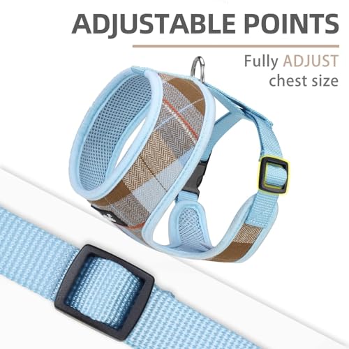 PUPTECK Soft Mesh Dog Harness and Leash Set Pet Puppy Cat Comfort Padded Vest No Pull Harnesses, Blue&Brown, XS - color: Blue&Brown, size: XS (NECK: 10", CHEST: 10"-14")