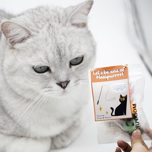 Cat Wand Attachment Toys, 5 PCS Fly Bugs Refills with Bells for Cat Teaser, Chase and Exercise Toys for Indoor Cats and Kittens Enrichment (No Wand Toy) - color: Fly Set