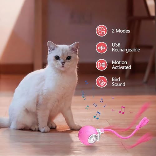 FUNNYDUCK Speed 2.0 Tail Interactive Cat Toy – Motion-Activated Rolling Ball with Chirping Sounds, USB Rechargeable Smart Ball Toy for Indoor Cats & Kittens, Enrichment & Exercise - color: Pink