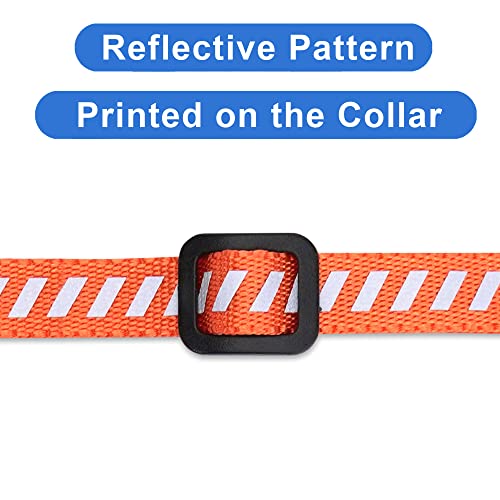 Pawtitas Personalized Orange Reflective Cat Collar – Adjustable Custom Collar with Safety Buckle, Removable Bell, and Engraved Name & Phone Number for Kittens and Adult Cats - color: Personalized Orange