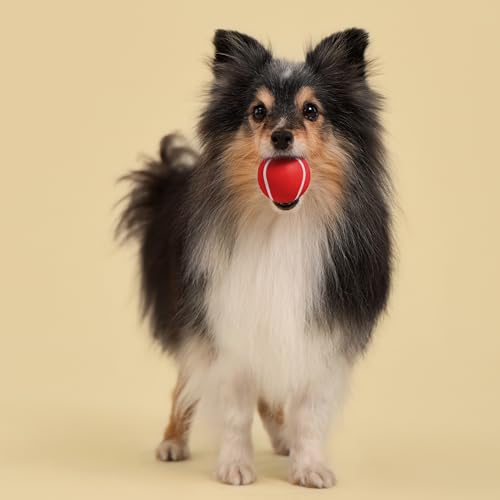 Playology Dog Toys | Squeaky Chew Ball - Bouncy Durable Floating Fetch Ball for Dogs , Value 3-Pack | Small Beef Scented Toy - Easy to Clean and Made from Non Toxic Materials - size: Small (VALUE 3-Pack), style: Beef