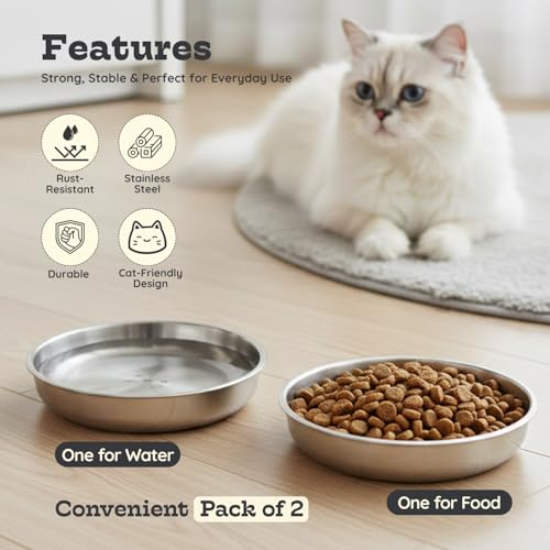 Stainless Steel Cat Food Bowl, 16 oz / 2 Cup Each, Heavy Duty Double Wall Insulated, Shallow Whisker-Friendly Design, Non-Slip Flat Base Dish for Cats & Kittens, D/W Safe Pack of 2