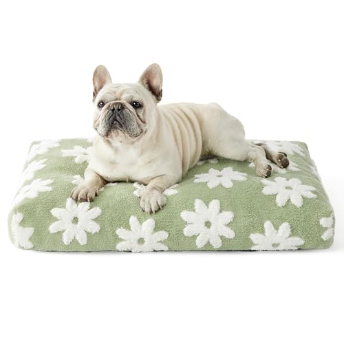LE SURE Dog Beds Medium Size-Thick Shredded Chopped Foam Pet Bed as Gift for Indoor with Removable Cover, Cute Modern Fuzzy Plush & Anti Slip Bottom, Green - color: Green, size: 30.0"L x 20.0"W x 4.0"Th