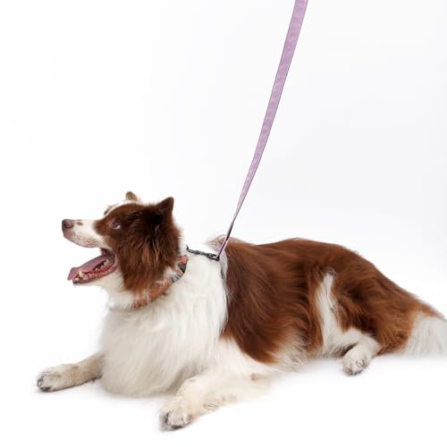 Soft Leather 4ft Dog Collar and Leash Set,Stylish 4ft PU Leather Dog Training Leash, Adjustable Durable Pet Collars with Quick Release Buckle for Large Dogs,Medium Dogs,Terracotta (Purple, 4 feet) - color: purple