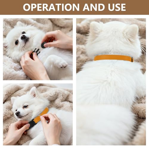 Tangerine Cat Collars with Bell 2 Pack Puppy Collar Adjustable 10.6 to 17.1 Inches - color: Tangerine