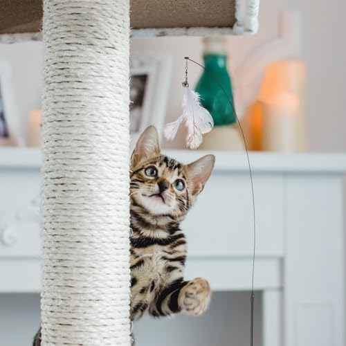 WOONEKY Interactive Cat Teaser Stick with Bell, Suction Cup Base, Steel Wire Plumage Wand, 10pcs Set with 10 Replacement Heads for Indoor Cat Play and Stress Relief