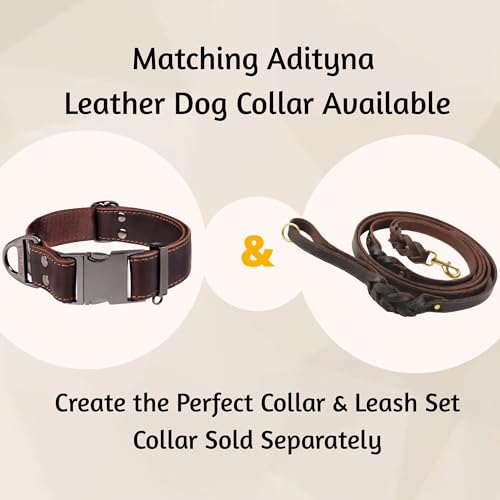 ADITYNA - Double Handle Leather Dog Leash 6ft - Heavy Duty Braided Dog Leash with Traffic Handle - Lead for Training and Walking Medium Large Breeds (Brown, Two Handles 6 Foot x 5/8") - color: Brown, size: Two Handles 6 foot x 5/8"