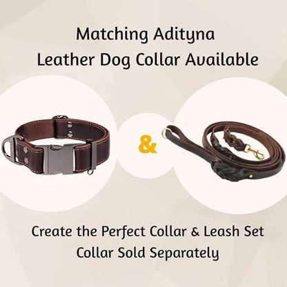 ADITYNA - Double Handle Leather Dog Leash 6ft - Heavy Duty Braided Dog Leash with Traffic Handle - Lead for Training and Walking Medium Large Breeds (Brown, Two Handles 6 Foot x 3/4") - color: Brown, size: Two Handles 6 foot x 3/4"