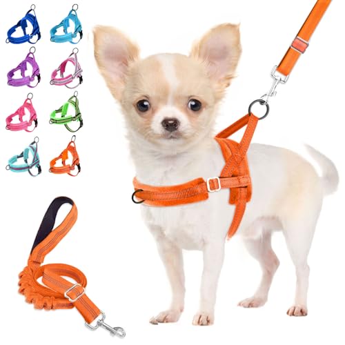 Lukovee No Pull Dog Harness and Leash Set, Soft Padded Small Dog Harness, Neck & Chest Adjustable Reflective Vest Puppy Harness with 4ft Lightweight Anti-Twist Dog Leash for Small Dogs (Orange, XXS) - color: Orange, size: XXS ( Chest 11.5'' ~ 15'')