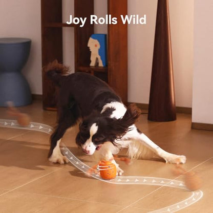 Cheerble Smart Interactive Dog Toy, Wicked Ball Rolly, Automatic Moving, Bouncing, Rotating, E-TPU Material, with Rope & Barks Sound Active Rolling Interactive Dog Ball for Medium and Large Dogs - color: Orange