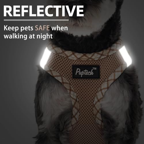 PUPTECK Dog Harness and Leash Set for Small Medium Dogs No Pull Step-in Soft Mesh Puppy Cat Vest Harnesses Reflective at Night, Beige S - color: #1 Beige(Basic Mesh), size: S(CHEST 14.5"-16", 6.6-14 lbs)