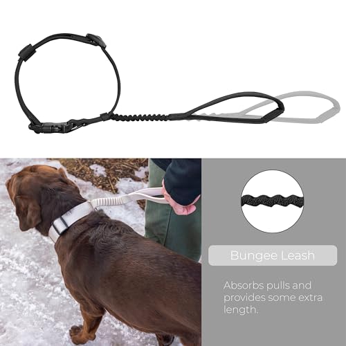 TUG Grab Collar | Integrated Traffic Leash Magnetically Attached for Quick Control (Large/Black) - color: Black, size: Large